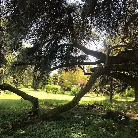 Domaine Des Airs De Toscane 度假居 Cazeres